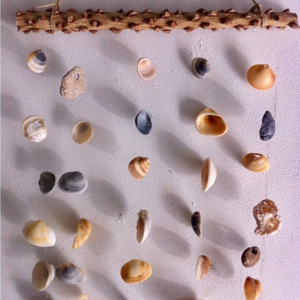 Coastal Shell Hanging Wall Decor - Natural Beige & Gray